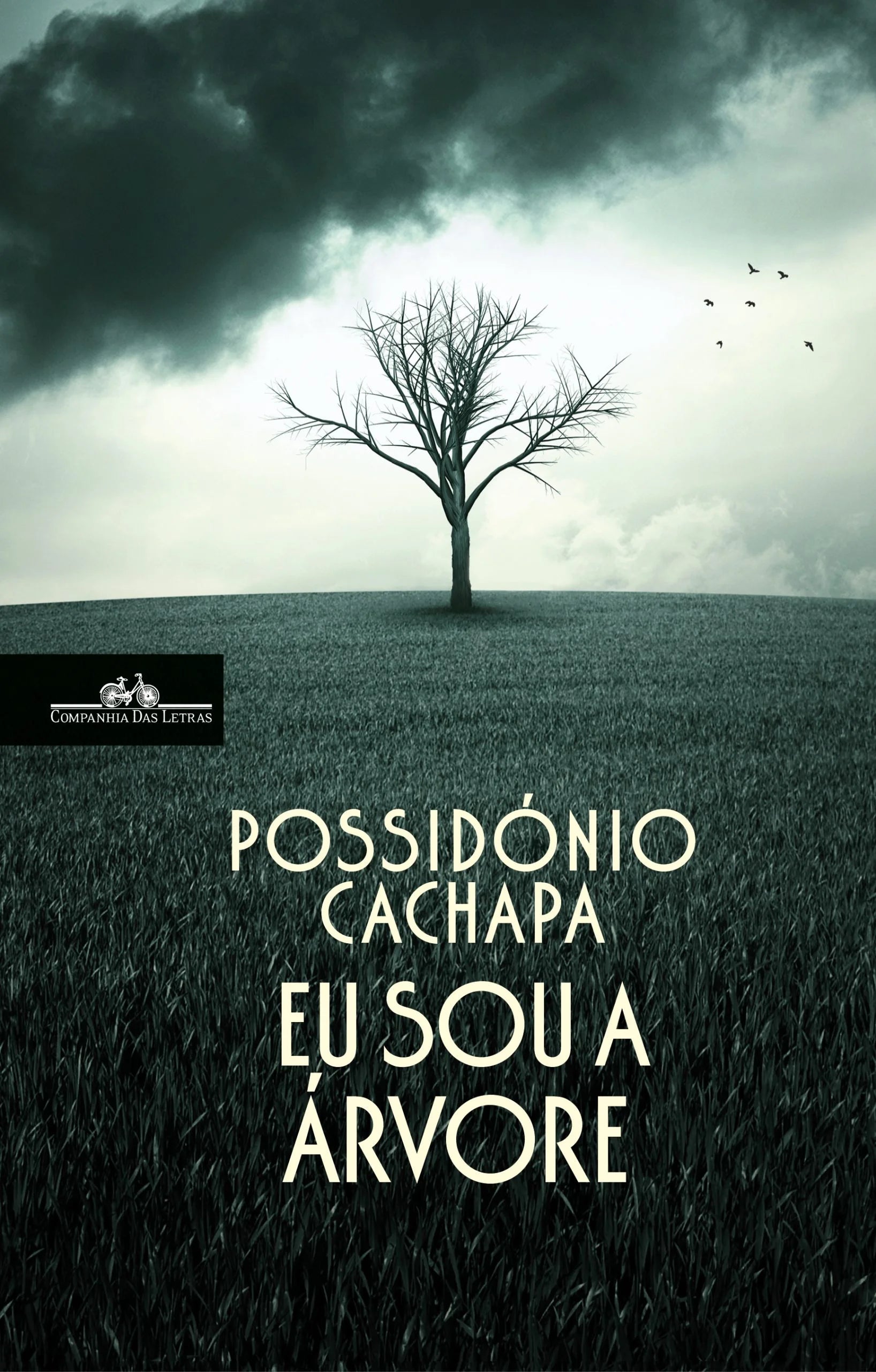 Eu Sou a Árvore